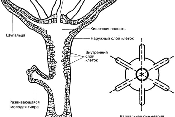 Аналог hydra