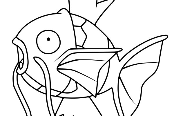 Kraken 6 at