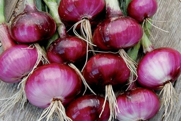 Ссылка на кракен onion kraken dark link