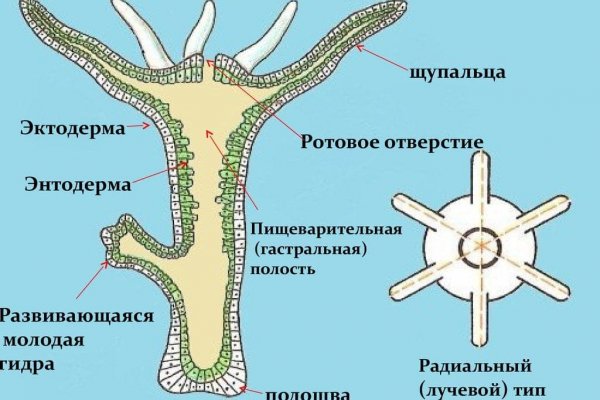 Кракен как зайти