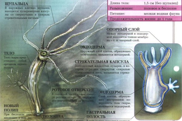 Ссылки для даркнета