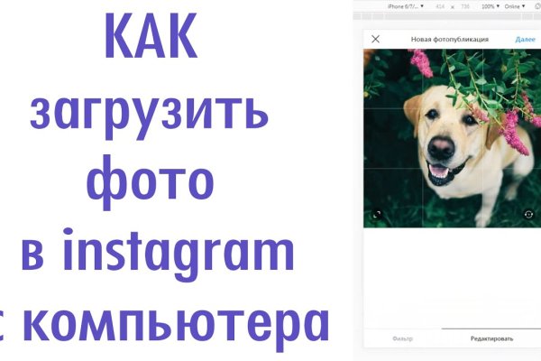 Почему не работает кракен