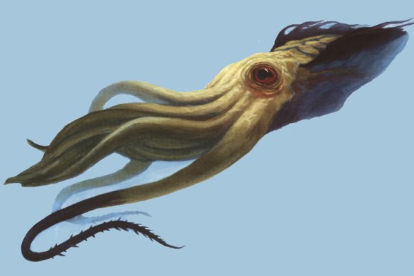 Kraken 2025 ссылка