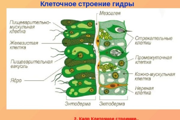 Что за площадка кракен